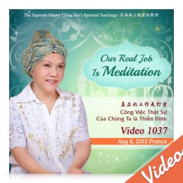 Video-1037 Our Real Job Is Meditation