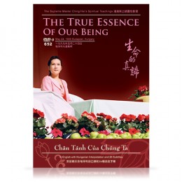 Video-0652 The True Essence of Our Being